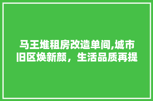 马王堆租房改造单间,城市旧区焕新颜，生活品质再提升