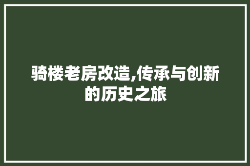 骑楼老房改造,传承与创新的历史之旅