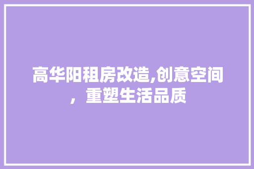 高华阳租房改造,创意空间，重塑生活品质