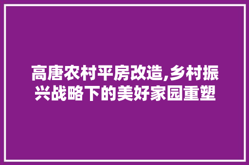 高唐农村平房改造,乡村振兴战略下的美好家园重塑