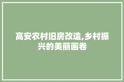 高安农村旧房改造,乡村振兴的美丽画卷