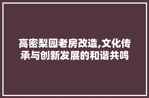 高密梨园老房改造,文化传承与创新发展的和谐共鸣