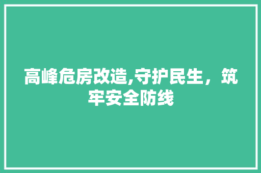高峰危房改造,守护民生，筑牢安全防线