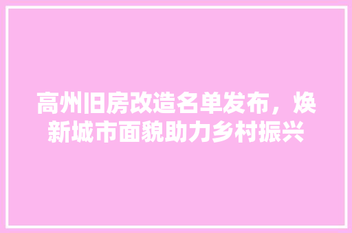高州旧房改造名单发布，焕新城市面貌助力乡村振兴