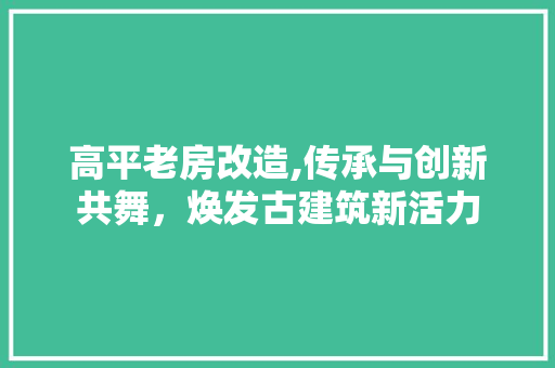 高平老房改造,传承与创新共舞，焕发古建筑新活力