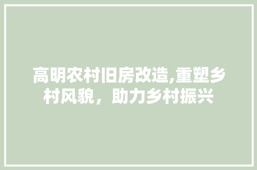 高明农村旧房改造,重塑乡村风貌，助力乡村振兴
