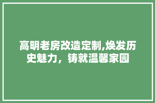 高明老房改造定制,焕发历史魅力，铸就温馨家园