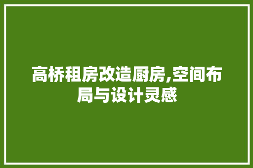 高桥租房改造厨房,空间布局与设计灵感 厨房维修