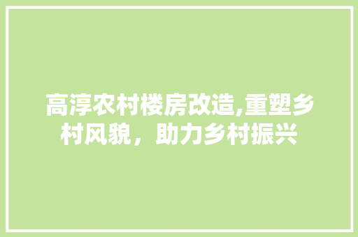 高淳农村楼房改造,重塑乡村风貌，助力乡村振兴 居家维修