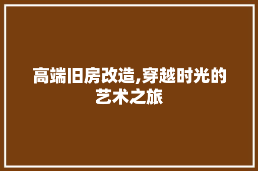 高端旧房改造,穿越时光的艺术之旅 厨房维修