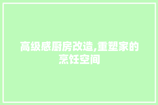 高级感厨房改造,重塑家的烹饪空间
