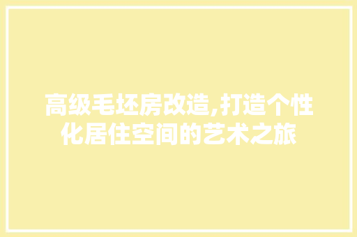 高级毛坯房改造,打造个性化居住空间的艺术之旅