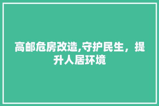 高邮危房改造,守护民生，提升人居环境