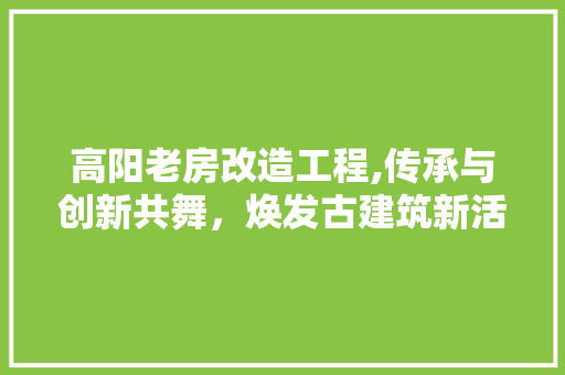 高阳老房改造工程,传承与创新共舞，焕发古建筑新活力