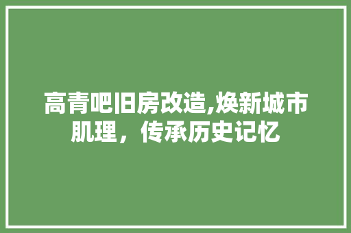 高青吧旧房改造,焕新城市肌理，传承历史记忆