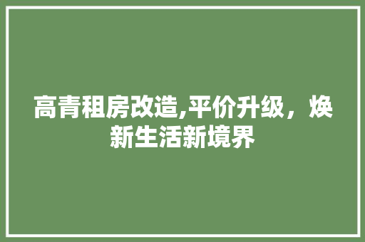 高青租房改造,平价升级，焕新生活新境界