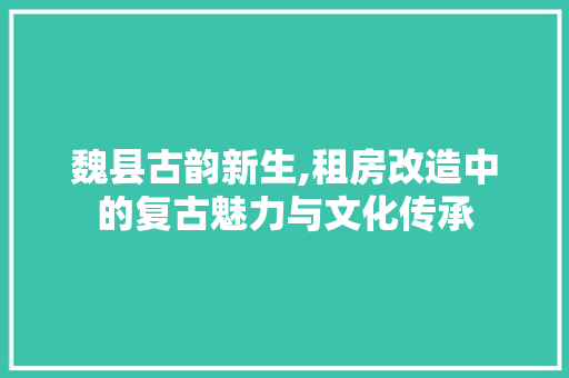 魏县古韵新生,租房改造中的复古魅力与文化传承