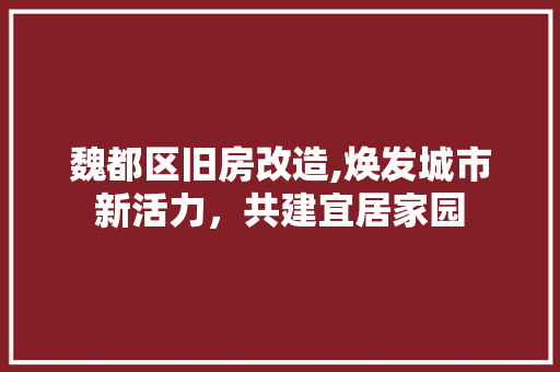魏都区旧房改造,焕发城市新活力，共建宜居家园