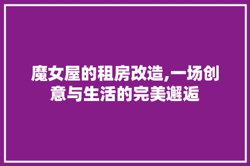 魔女屋的租房改造,一场创意与生活的完美邂逅
