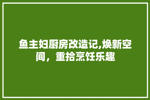 鱼主妇厨房改造记,焕新空间，重拾烹饪乐趣 户内维修