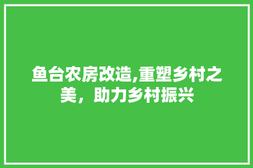 鱼台农房改造,重塑乡村之美，助力乡村振兴