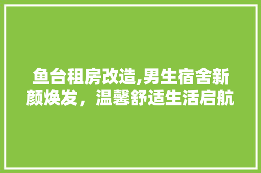 鱼台租房改造,男生宿舍新颜焕发，温馨舒适生活启航