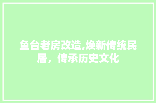 鱼台老房改造,焕新传统民居，传承历史文化