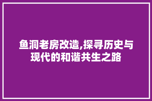 鱼洞老房改造,探寻历史与现代的和谐共生之路