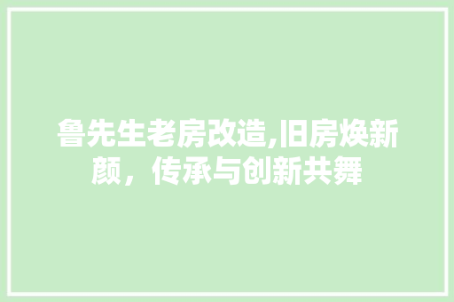 鲁先生老房改造,旧房焕新颜，传承与创新共舞
