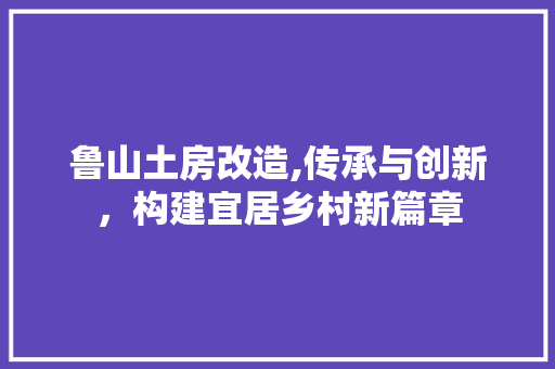 鲁山土房改造,传承与创新，构建宜居乡村新篇章