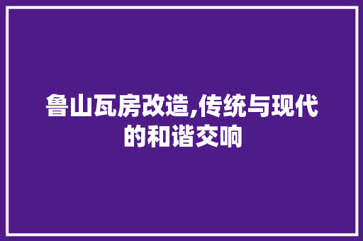 鲁山瓦房改造,传统与现代的和谐交响