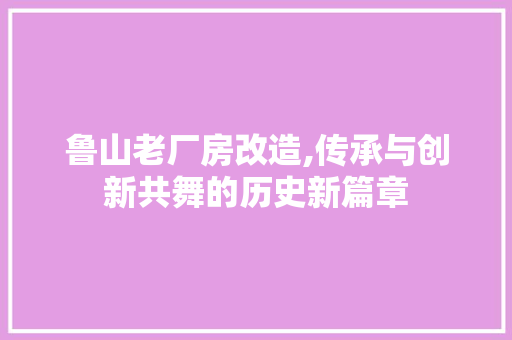 鲁山老厂房改造,传承与创新共舞的历史新篇章