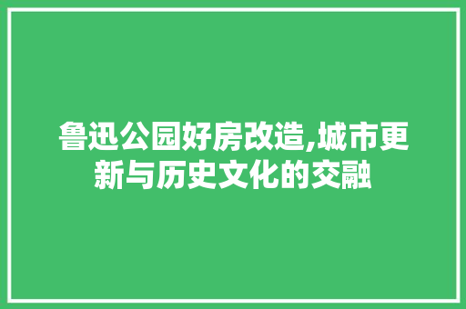 鲁迅公园好房改造,城市更新与历史文化的交融