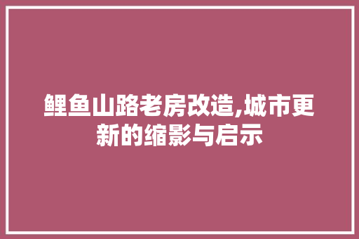 鲤鱼山路老房改造,城市更新的缩影与启示