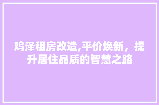 鸡泽租房改造,平价焕新，提升居住品质的智慧之路