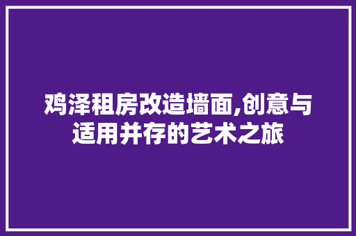 鸡泽租房改造墙面,创意与适用并存的艺术之旅