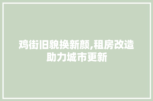 鸡街旧貌换新颜,租房改造助力城市更新