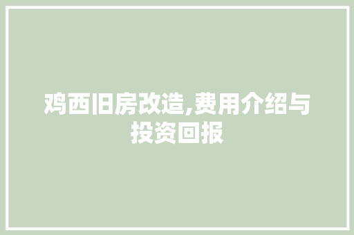 鸡西旧房改造,费用介绍与投资回报