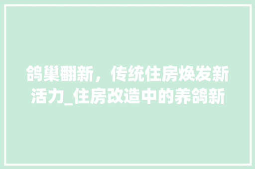 鸽巢翻新，传统住房焕发新活力_住房改造中的养鸽新风尚