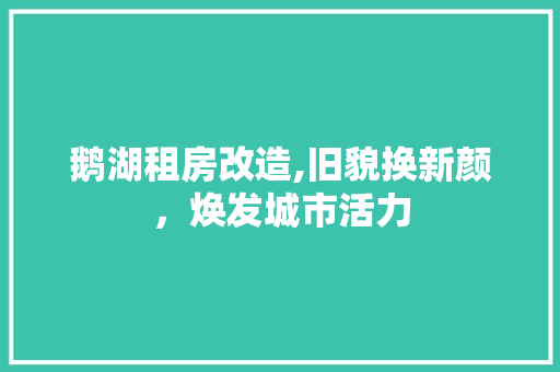 鹅湖租房改造,旧貌换新颜，焕发城市活力