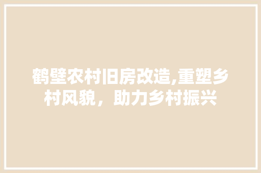 鹤壁农村旧房改造,重塑乡村风貌，助力乡村振兴