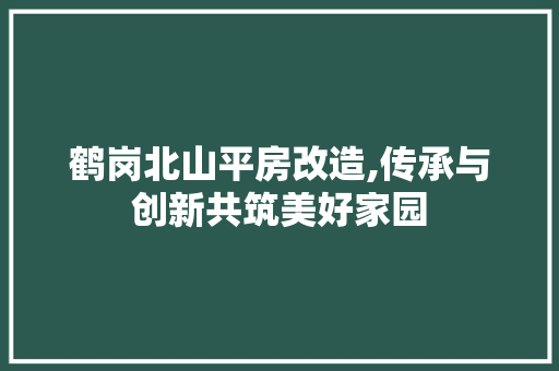 鹤岗北山平房改造,传承与创新共筑美好家园