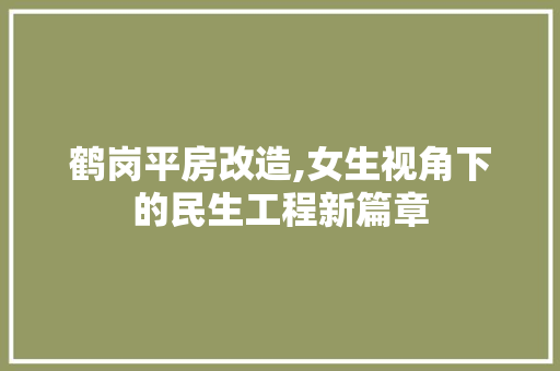 鹤岗平房改造,女生视角下的民生工程新篇章