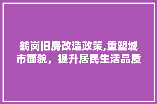 鹤岗旧房改造政策,重塑城市面貌，提升居民生活品质