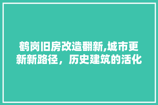 鹤岗旧房改造翻新,城市更新新路径，历史建筑的活化重生
