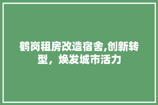 鹤岗租房改造宿舍,创新转型，焕发城市活力