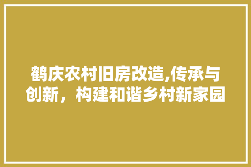 鹤庆农村旧房改造,传承与创新，构建和谐乡村新家园