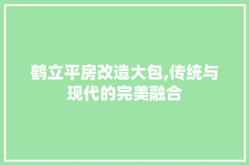 鹤立平房改造大包,传统与现代的完美融合