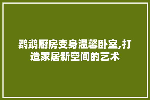 鹦鹉厨房变身温馨卧室,打造家居新空间的艺术