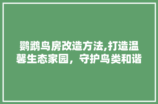 鹦鹉鸟房改造方法,打造温馨生态家园，守护鸟类和谐共生